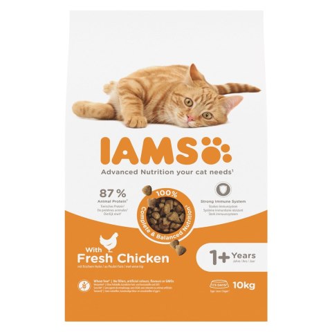 IAMS Proactive Health Adult - sucha karma dla kota - 10 kg