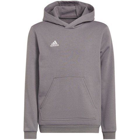 Bluza dla dzieci adidas Entrada 22 Hoody szara H57515 164cm