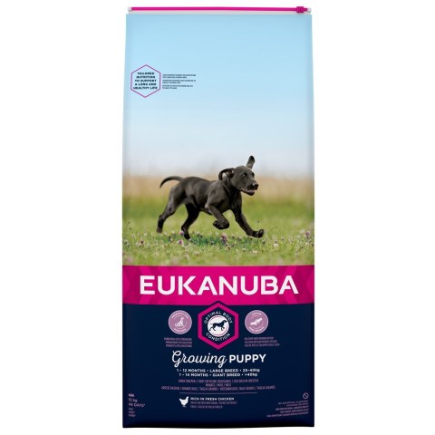 EUKANUBA Growing Puppy Large Breed - sucha karma dla szczeniąt ras dużych - 15kg