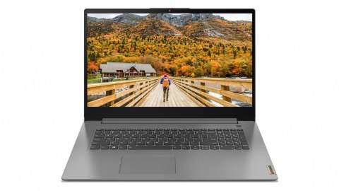 Notebook Lenovo IdeaPad 3 17ALC6 17,3"HD+/Ryzen 5 5500U/8GB/SSD256GB/Radeon Grey