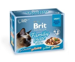 Brit Cat Pouch Gravy Fillet Family Plate 1020g (12x85g)