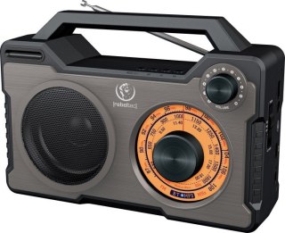 Głośnik bluetoooth/radio RODOS