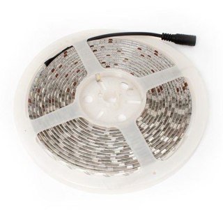 Taśma LED-5050 Abilite b.zimna 300LED 12V IP65 5m/10mm silikon