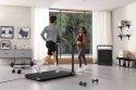 Bieżnia elektryczna Kingsmith Treadmill X23