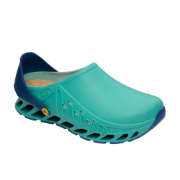 Buty Evoflex marki Scholl