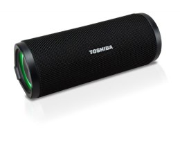 Głośnik bezprzewodowy TOSHIBA TY-WSP102 (Czarny )