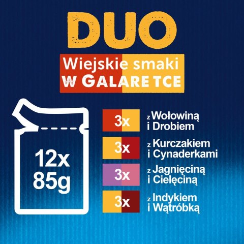 Karma Felix Fantastic Duo wiejskie smaki 12x85g