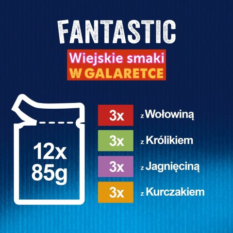 Karma Felix Fantastic Mięso 12x85g