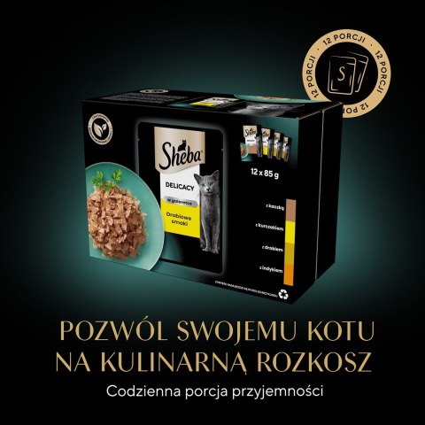 Sheba Del in Jelly Smaki Drobiowe 12x85g