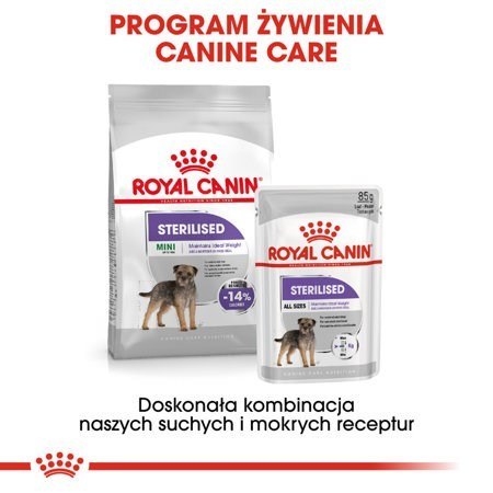 Royal Canin CCN Sterilised Loaf - mokra karma dla psa dorosłego - 12x85g