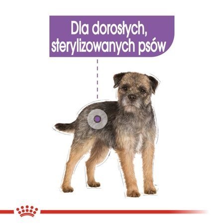 Royal Canin CCN Sterilised Loaf - mokra karma dla psa dorosłego - 12x85g