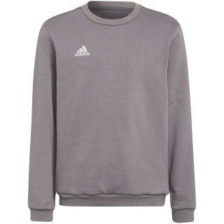 Bluza dla dzieci adidas Entrada 22 Sweat Top szara H57477 116cm