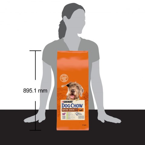 Purina Dog Chow Mature Senior Jagnięcina 14kg