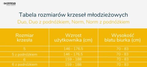 Krzesło młodzieżowe ENTELO Duo Biały Monolith 24 rozmiar 5