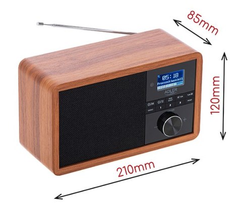 Radio Dab + Bluetooth