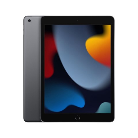 Tablet APPLE iPad 10.2 cala 256 GB Space Gray (Gwiezdna Szarość) (10.2"/Apple A13/256GB/iOS 15/Wi-Fi/Szaro-czarny)