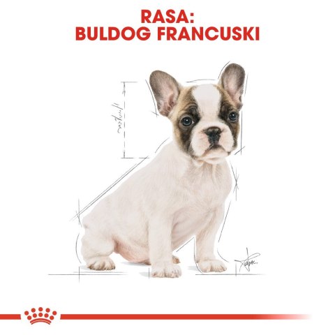 Karma Royal Canin BHN French Bulldog Junior (3 kg )