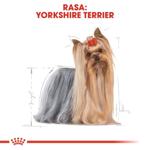 Karma Royal Canin BHN Yorkshire 12x85 g