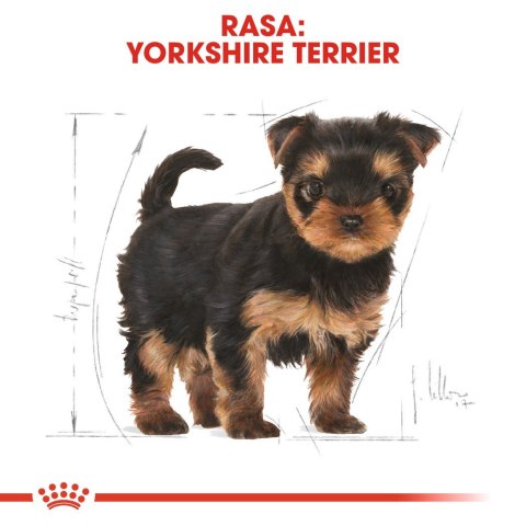 Karma Royal Canin BHN Yorkshire Terrier 29 Junior (1,50 kg )