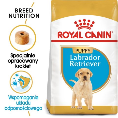 Karma Royal Canin SHN BREED LABRADOR JUNIOR (12 kg )