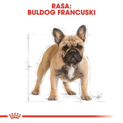 Karma Royal Canin SHN Breed FR Bulldog (1,50 kg )