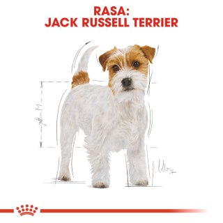 Karma Royal Canin SHN Breed Jack Russ Ad (1,50 kg )