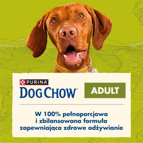 PURINA DOG CHOW ADULT Jagnięcina 14+2,5kg