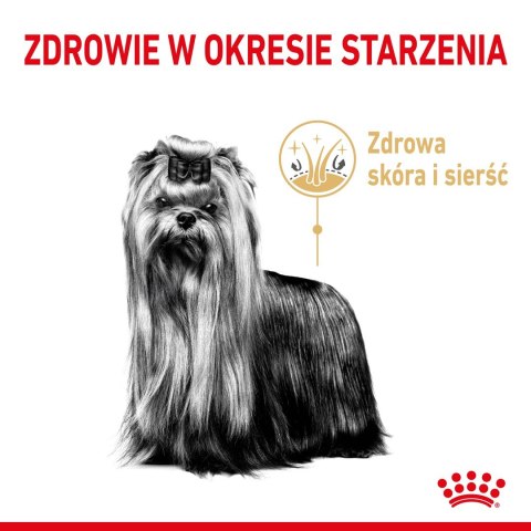 ROYAL CANIN BHN Yorkshire Ageing 8+ - sucha karma dla psa starszego - 3kg