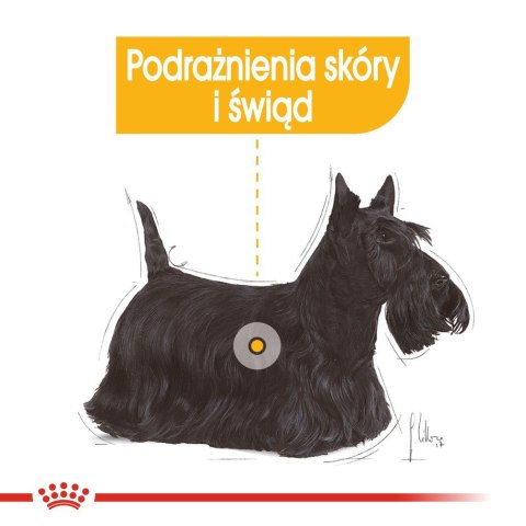 ROYAL CANIN Mini Dermacomfort - karma sucha dla psów dorosłych ras małych o wrażliwej skórze, skłonnej do podrażnień - 3kg