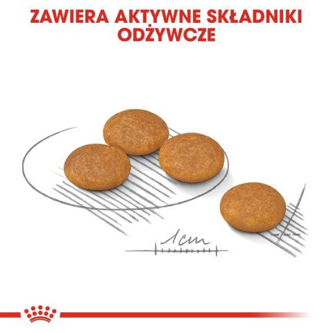 ROYAL CANIN Mini Dermacomfort - karma sucha dla psów dorosłych ras małych o wrażliwej skórze, skłonnej do podrażnień - 3kg