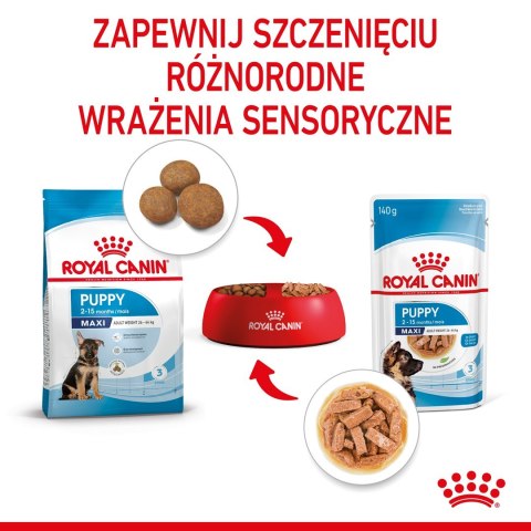 ROYAL CANIN SHN Maxi Puppy w sosie - mokra karma dla szczeniąt - 10x140g