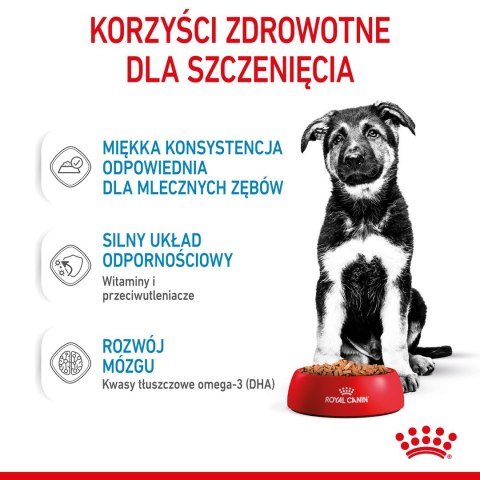 ROYAL CANIN SHN Maxi Puppy w sosie - mokra karma dla szczeniąt - 10x140g