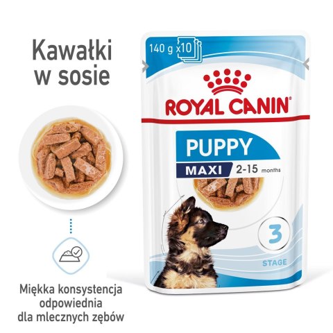 ROYAL CANIN SHN Maxi Puppy w sosie - mokra karma dla szczeniąt - 10x140g