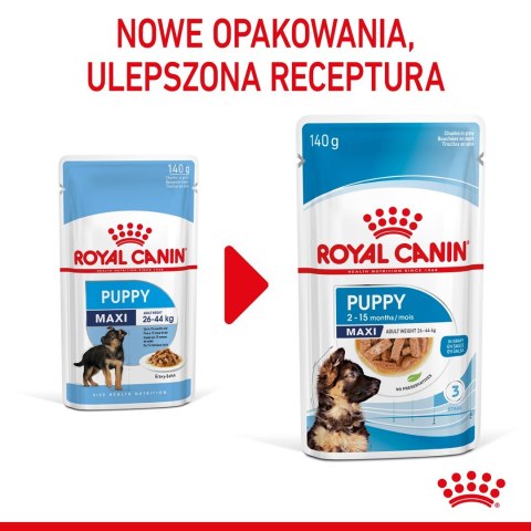 ROYAL CANIN SHN Maxi Puppy w sosie - mokra karma dla szczeniąt - 10x140g