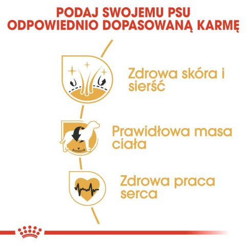 Royal Canin BHN Cocker Adult - sucha karma dla psa dorosłego - 12kg