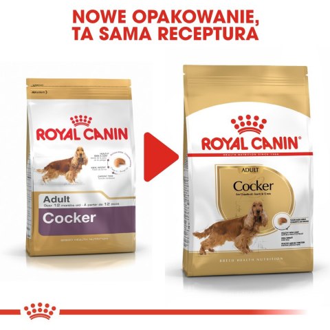 Royal Canin BHN Cocker Adult - sucha karma dla psa dorosłego - 12kg