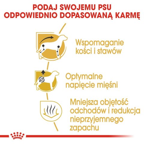 Royal Canin BHN Dachshund Adult - sucha karma dla psa dorosłego - 1,5kg