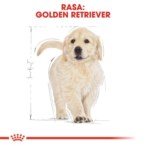 Royal Canin BHN Golden Retriever Puppy - sucha karma dla szczeniąt - 12kg