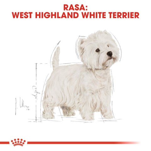 Royal Canin BHN West Highland White Terrier Adult - sucha karma dla psa dorosłego - 3kg