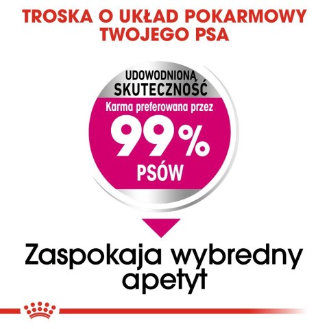 Royal Canin CCN MINI EXIGENT - sucha karma dla psa dorosłego - 3kg