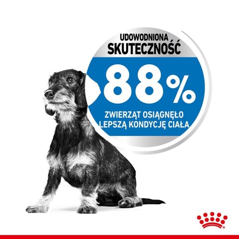 Royal Canin CCN MINI LIGHT WEIGHT CARE - sucha karma dla psa dorosłego - 3kg