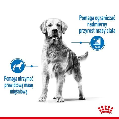 Karma Royal Canin SHN Medium Light Care (3 kg )