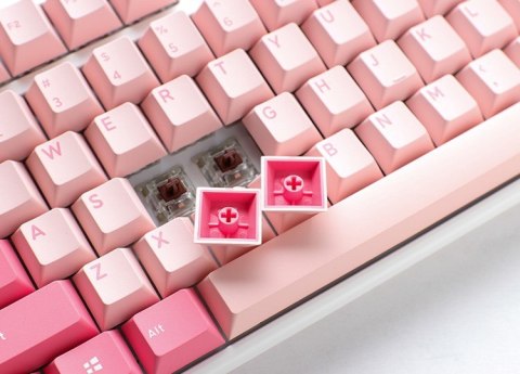 Ducky One 3 TKL Gossamer Pink klawiatura Gaming USB US English Różowy, Biały