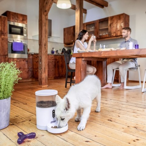 Dozownik karmy dla zwierząt TESLA TSL-PC-BL4 Smart Pet Feeder