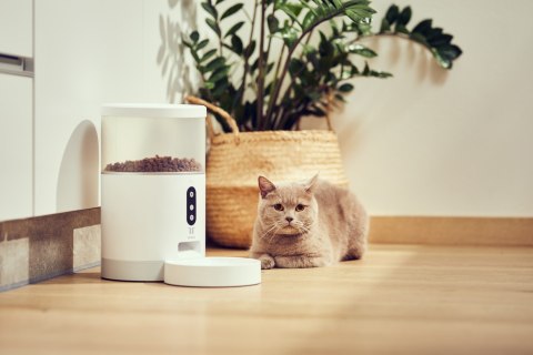 Dozownik karmy dla zwierząt TESLA TSL-PC-BL4 Smart Pet Feeder