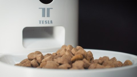 Dozownik karmy dla zwierząt TESLA TSL-PC-BL4 Smart Pet Feeder