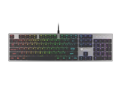 GENESIS Thor 420 RGB klawiatura Gaming USB AZERTY US English Srebrny