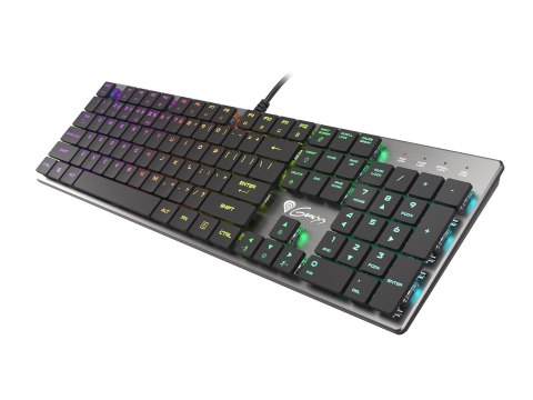 GENESIS Thor 420 RGB klawiatura Gaming USB AZERTY US English Srebrny