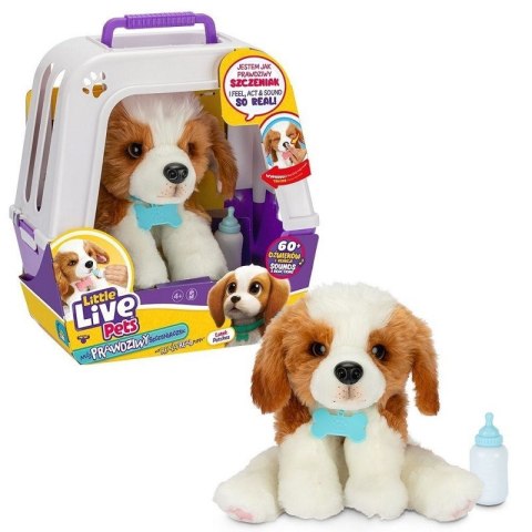 Little Live Pets 26548 Piesek z transporterkiem