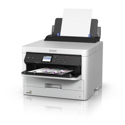 Epson DURABrite Pro